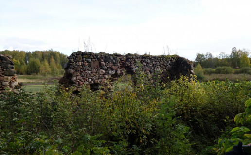 12_Tytuvėnų dvaro pastatų gruvėsiai1.jpg